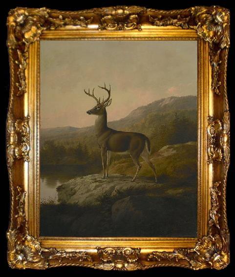 framed  unknow artist Deer, ta009-2