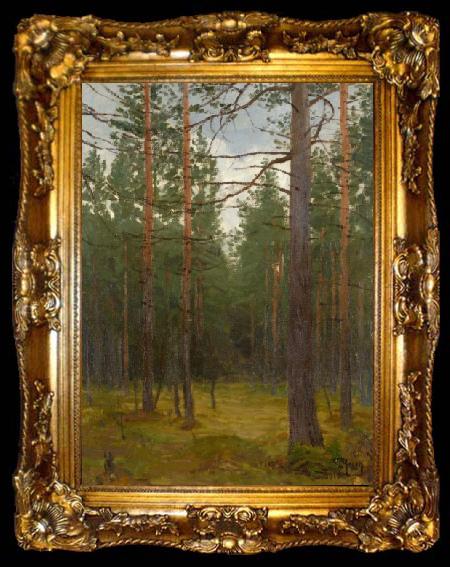 framed  unknow artist Pine forest, ta009-2