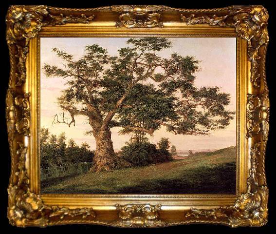 framed  unknow artist The Charter Oak, ta009-2
