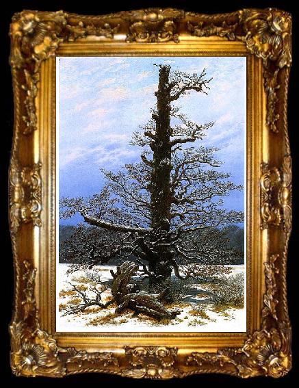 framed  Caspar David Friedrich Oak Tree in the Snow, ta009-2