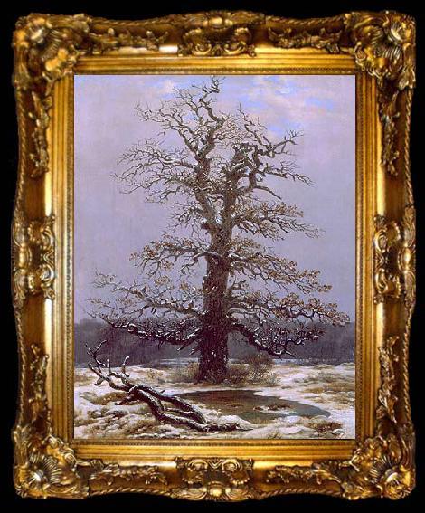 framed  Caspar David Friedrich Eiche im Schnee, ta009-2
