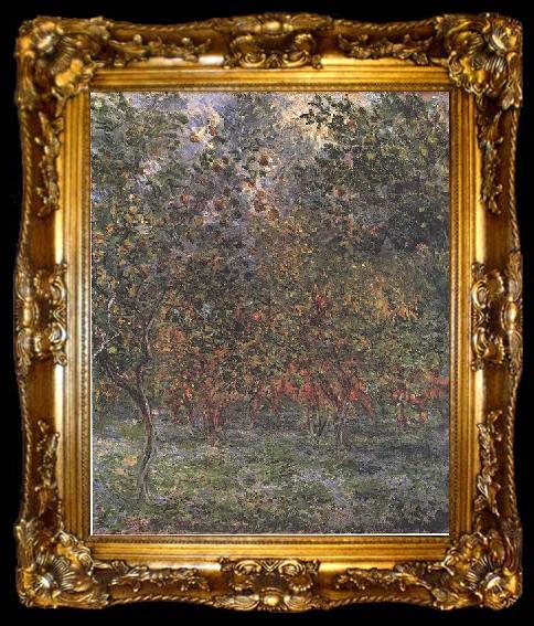 framed  Claude Monet The Lemon Grove in Bordighera, ta009-2