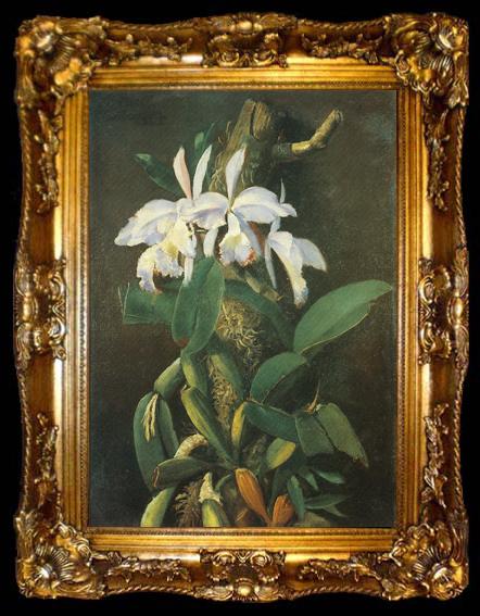 framed  Francis A.Silva Orquedeas, ta009-2