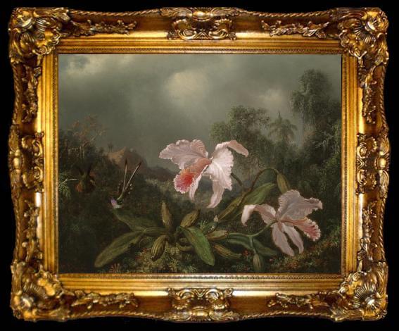 framed  Martin Johnson Heade Jungle Orchids and Hummingbirds, ta009-2