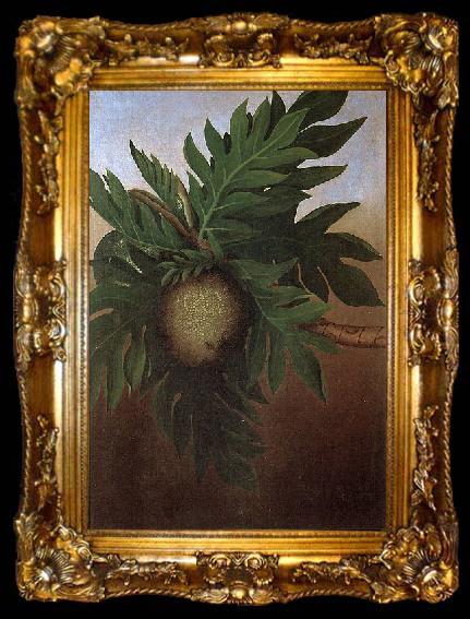 framed  unknow artist Hawaiian Breadfruit, oil on canvas painting by Persis Goodale Thurston Taylor, c. 1890, ta009-2