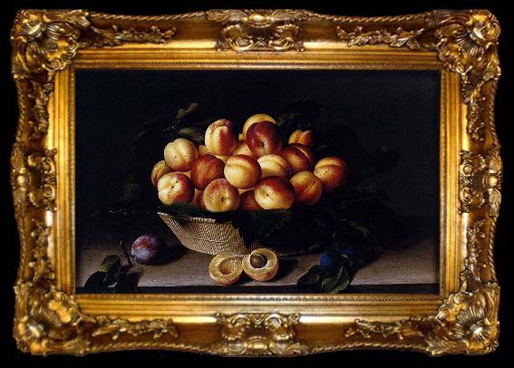 framed  Louise Moillon Basket of Apricots, ta009-2