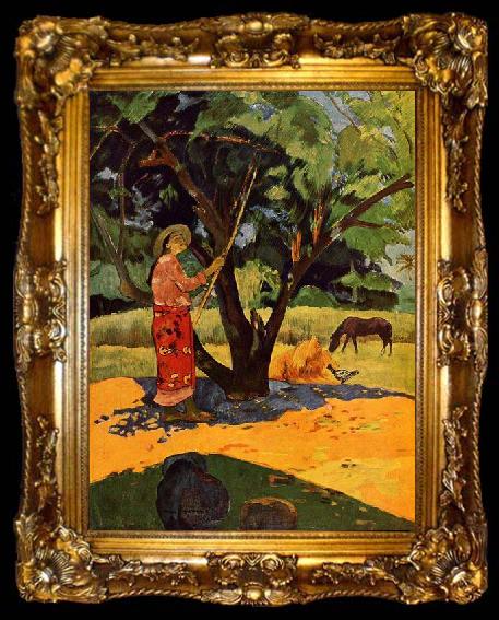 framed  Paul Gauguin Picking Lemons, ta009-2