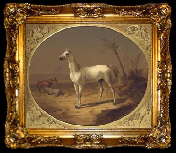 framed  Theodor Horschelt A Grey Arabian Horse, ta009-2