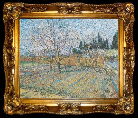 framed  Vincent Van Gogh Flowering orchard with peach-trees, ta009-2