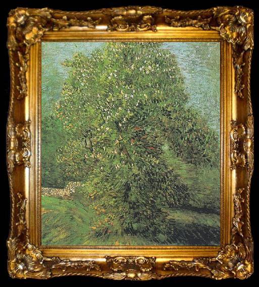 framed  Vincent Van Gogh Blossoming Chestnut Tree, ta009-2