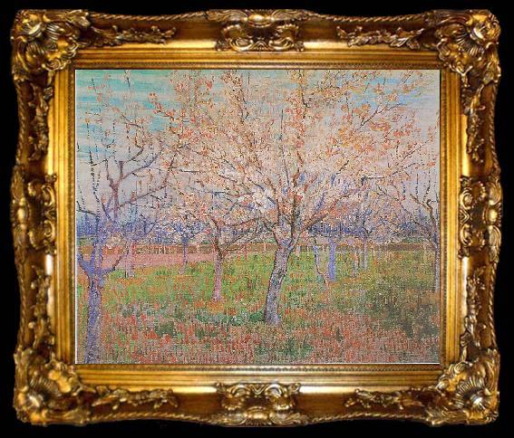 framed  Vincent Van Gogh Orchard with flowering apricot-trees, ta009-2