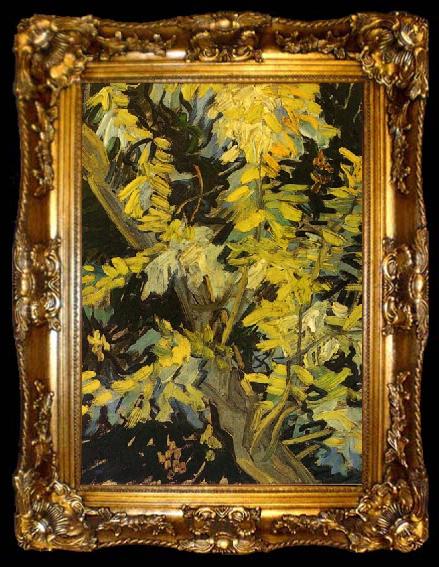 framed  Vincent Van Gogh Blossoming Acacia Branches, ta009-2