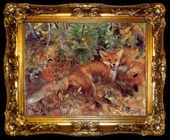 framed  bruno liljefors Foxes, ta009-2
