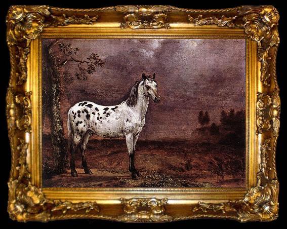 framed  paulus potter The Spotted Horse, ta009-2