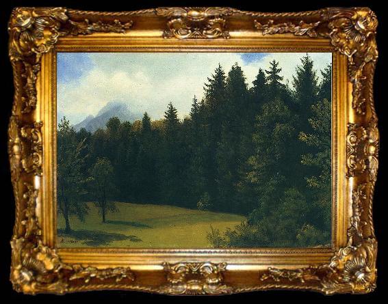 framed  Albert Bierstadt Greater San Francisco Area (Mountain Glade and Mountain Resort), ta009-2