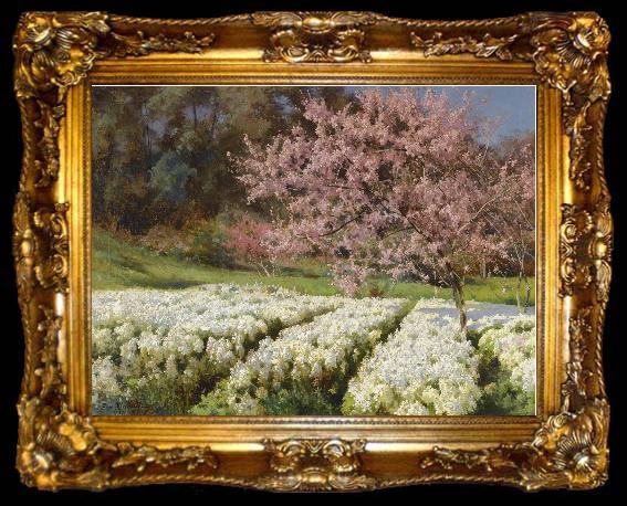 framed  Antonio Mancini Spring blossom, ta009-2