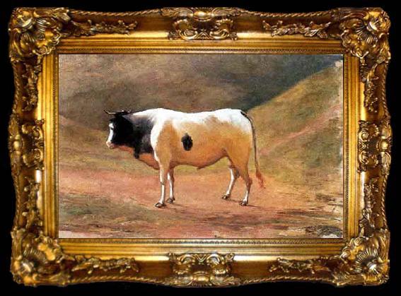 framed  Benedito Calixto Ox grazing, ta009-2