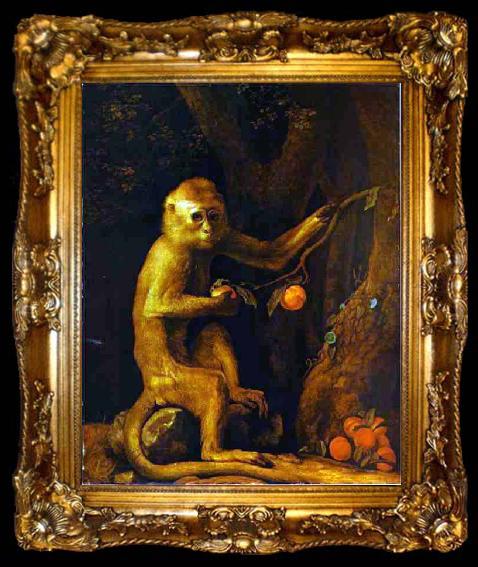 framed  George Stubbs Green Monkey, ta009-2