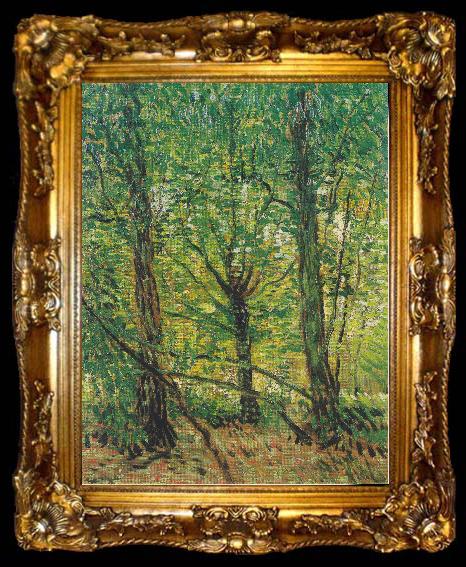 framed  Vincent Van Gogh Trees and Undergrowth, ta009-2