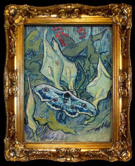 framed  Vincent Van Gogh Butterflies, ta009-2