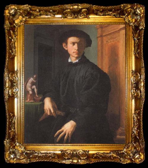 framed  Agnolo Bronzino Portrait of a Young Man with a Lute, ta009-2