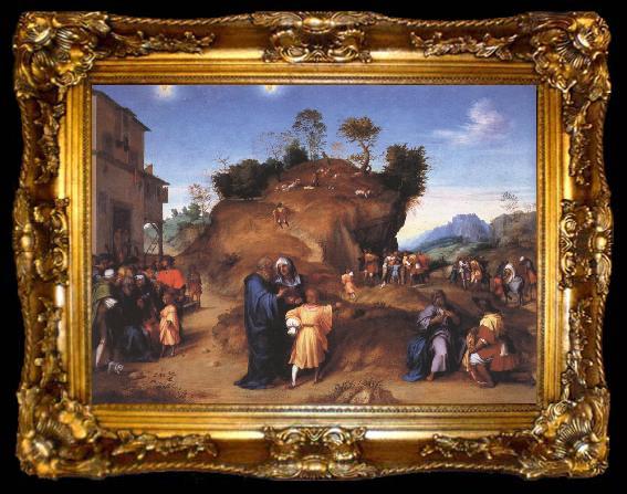 framed  Andrea del Sarto A Story from the Life of Joseph the Hebrew, ta009-2