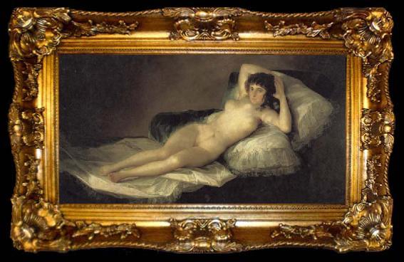 framed  Francisco de goya y Lucientes The Maja Nude, ta009-2