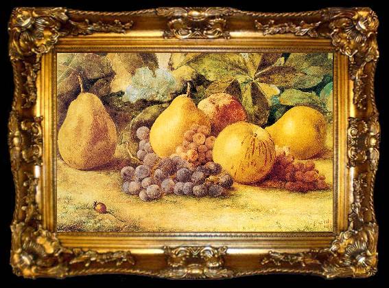 framed  Hill, John William Apples, Pears, and Grapes on the Ground, ta009-2