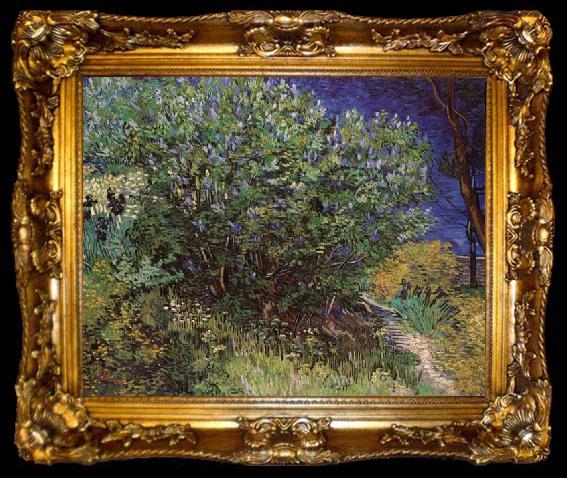 framed  Vincent Van Gogh Bushes, ta009-2
