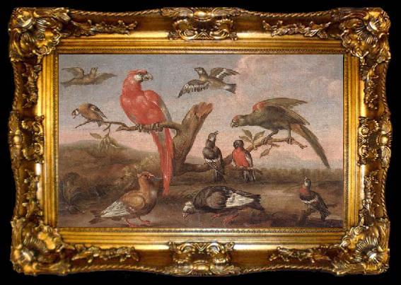 framed  unknow artist A river landscape with parrots and other birds, ta009-2