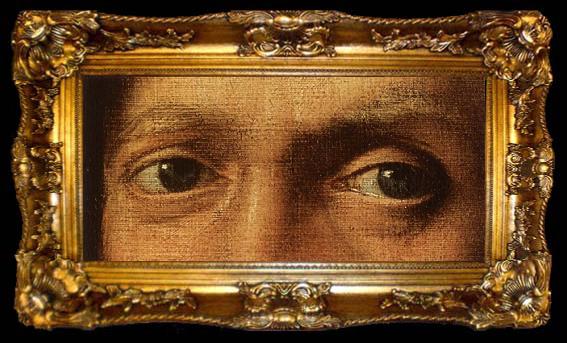 framed  Raphael Portrait of Count Baldassare Castiglione, ta009-2