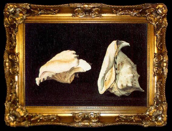 framed  Napoletano, Filippo Two Shells, ta009-2