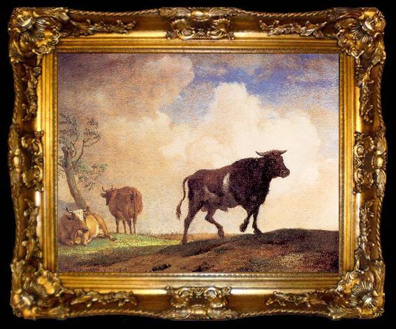 framed  POTTER, Paulus The Bull, ta009-2