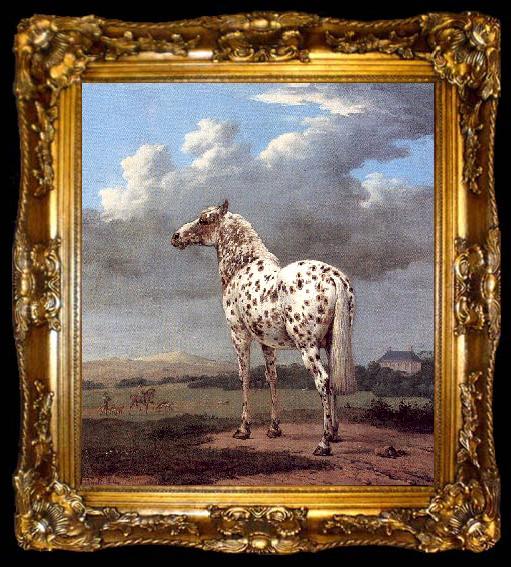 framed  POTTER, Paulus The Piebald Horse, ta009-2