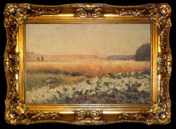framed  Jan Stanislawski Field (nn02), ta009-2