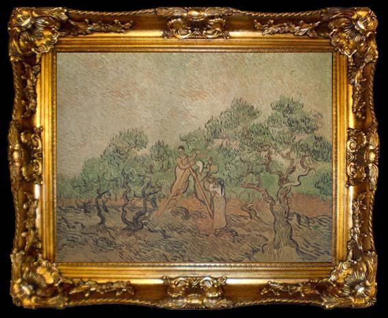 framed  Vincent Van Gogh Olive Picking (nn04), ta009-2