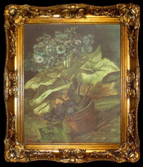framed  Vincent Van Gogh Cineraria in a Flowerpot (nn04), ta009-2