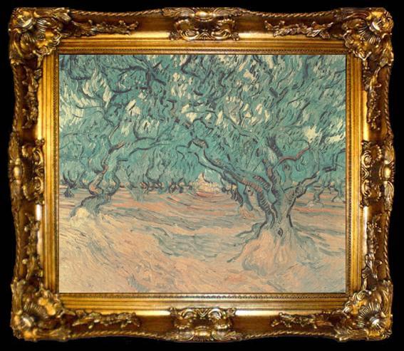 framed  Vincent Van Gogh Olive Trees (nn04), ta009-2