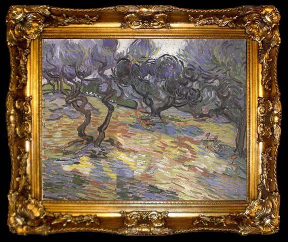 framed  Vincent Van Gogh Olive Trees:Bright Blue Sky (nn04), ta009-2