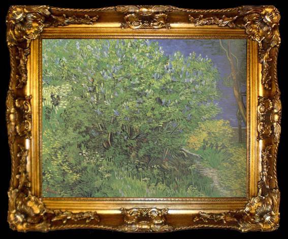 framed  Vincent Van Gogh Lilacs (nn04), ta009-2