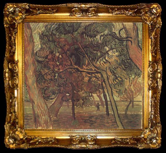 framed  Vincent Van Gogh Study of Pine Trees (nn04), ta009-2