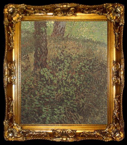 framed  Vincent Van Gogh Undergrowth (nn04), ta009-2