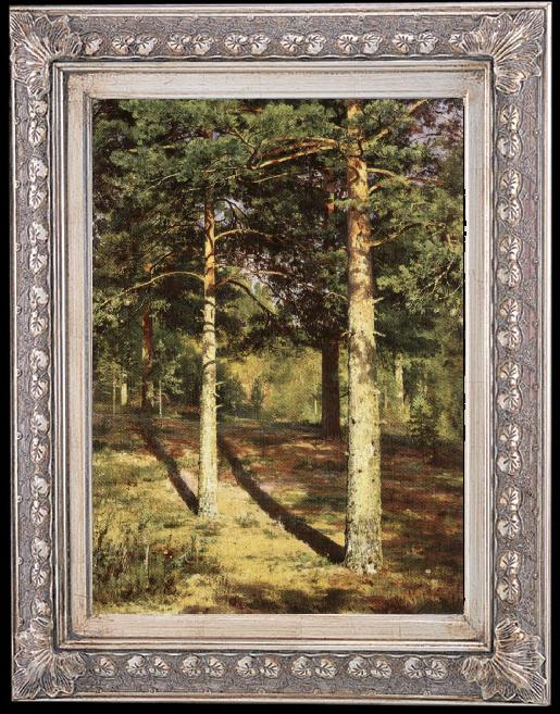 Ivan Shishkin Pine Wood Illuminated by the Sun