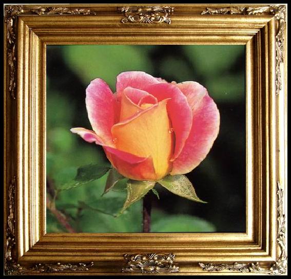 framed  unknow artist Still life floral, all kinds of reality flowers oil painting  203, Ta209