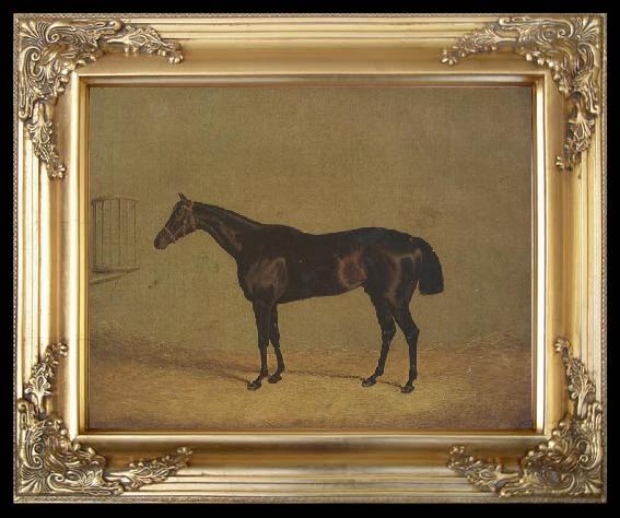 framed  John Frederick Herring The Racehorse 