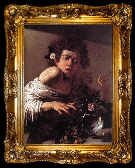framed  Caravaggio Boy Bitten by a Lizard f, ta009-2