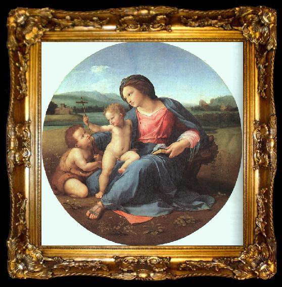 framed  Raphael The Alba Madonna, ta009-2