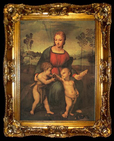 framed  Raphael Madonna of the Goldfinch, ta009-2
