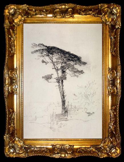 framed  A.K.Cabpacob Pine Tree, ta009-2