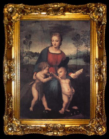 framed  Raphael The Madonna of the Goldfinch, ta009-2